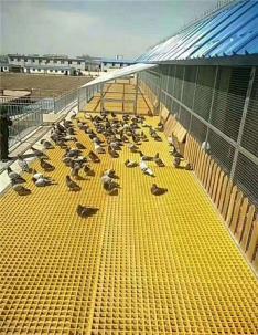  养殖专用玻璃钢格栅养殖鸽子易打扫！！！ 